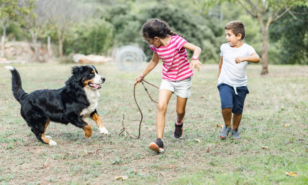 Children Playing With Dog