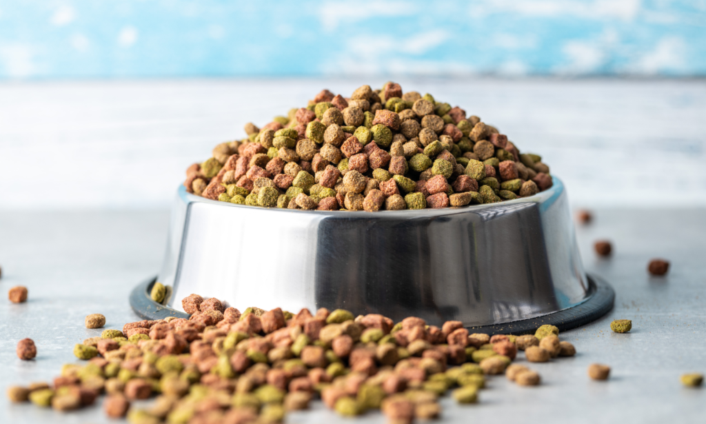 Essential Nutrients in Wholesome Dog Food